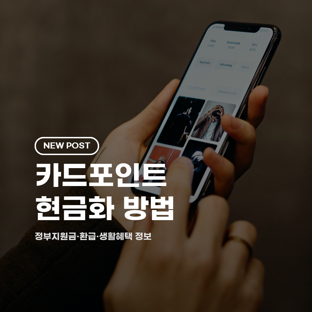 카드포인트 현금화 방법 2026 총정리 (신청·조회·계좌이체)